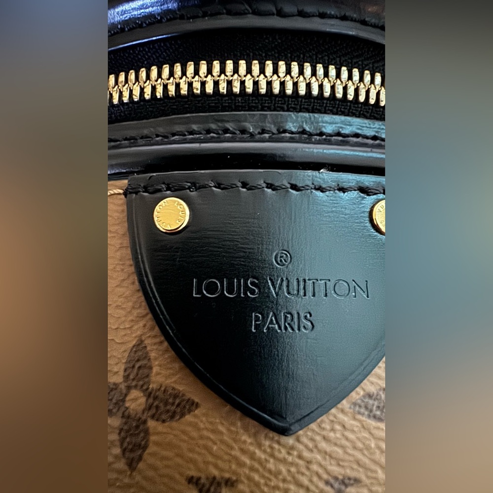 Authentic Louis Vuitton Cannes Monogram Reverse Canvas Bag - Picture 12 of 16